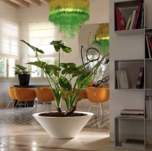 Vaso Schio Ciotola Teraplast in polietilene