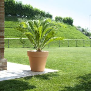 Vaso Standard One 140