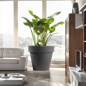 Vaso Standard One 140