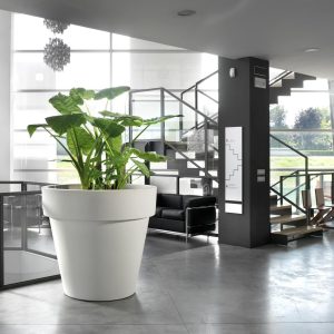 Vaso Standard One 140