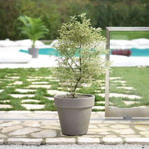 Vaso Standard One 140