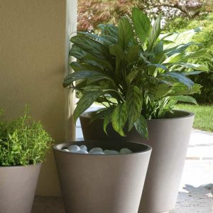 Vaso Ribeira Teraplast