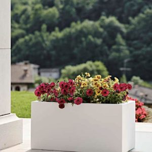 Kit Schio Cassa Maxi