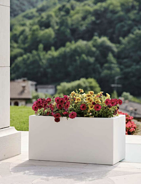 Kit Schio Cassa Maxi