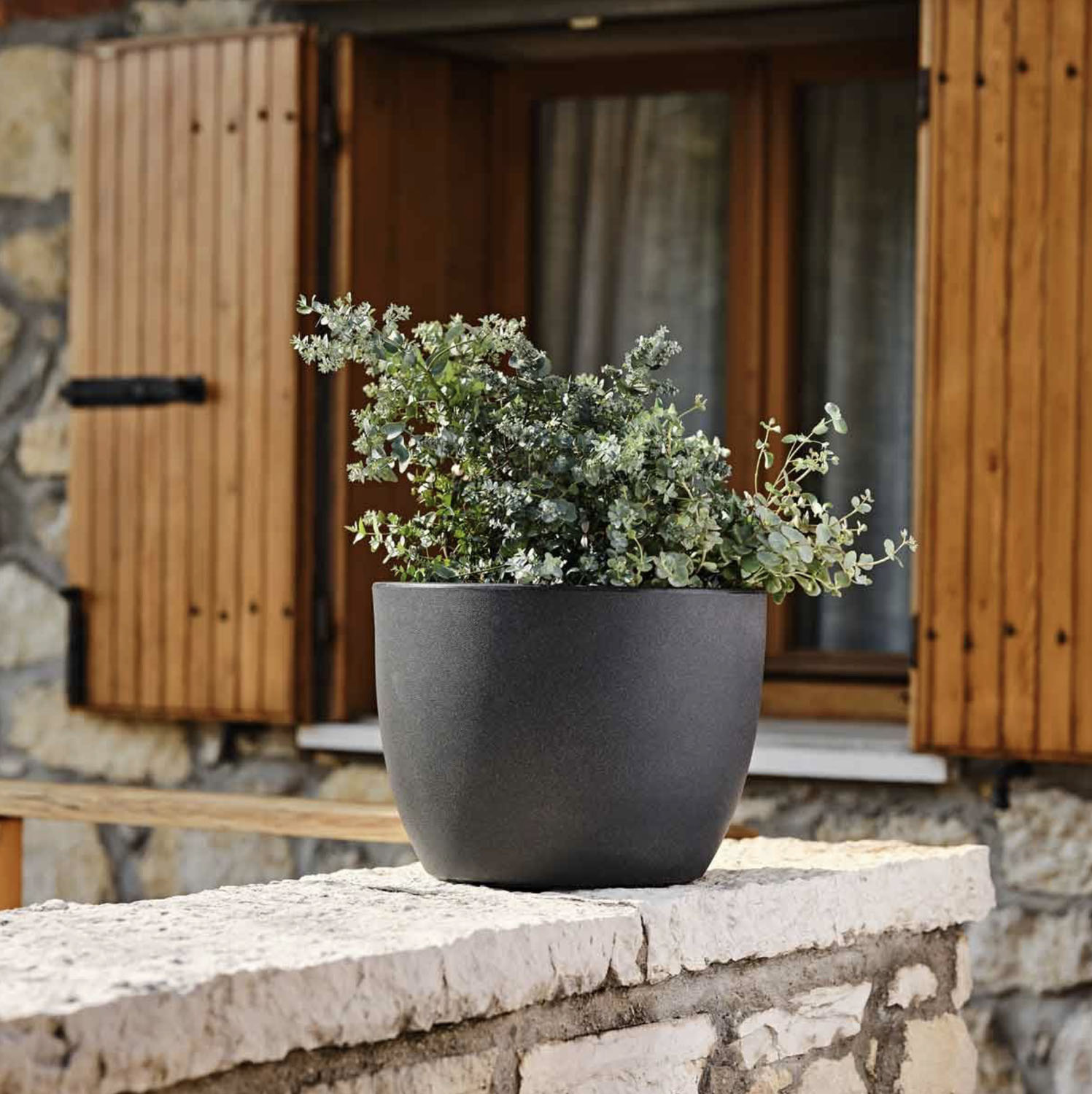 Vaso Ares - immagine 3