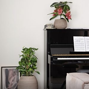 Vaso Murano in terracotta