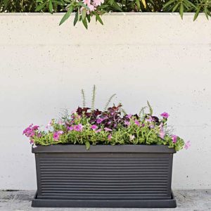 Vaso Cassetta Millerighe