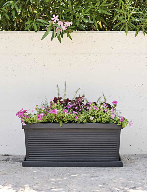 Vaso Cassetta Millerighe