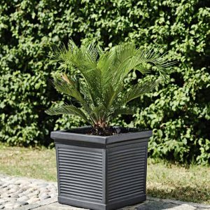 Vaso Quadro Millerighe