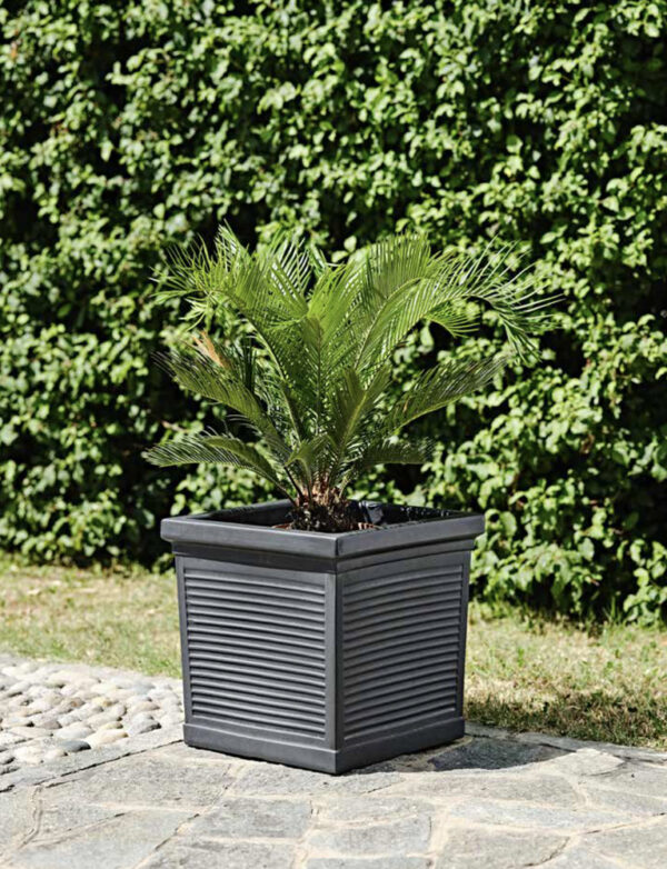 Vaso Quadro Millerighe