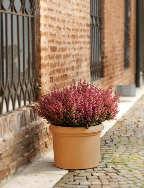 Vaso Cilindro Vicenza