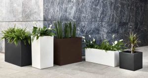 Vaso Cassetta Liscia