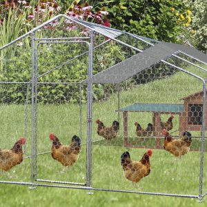 Pollaio con rete metallica per animali, acciaio.