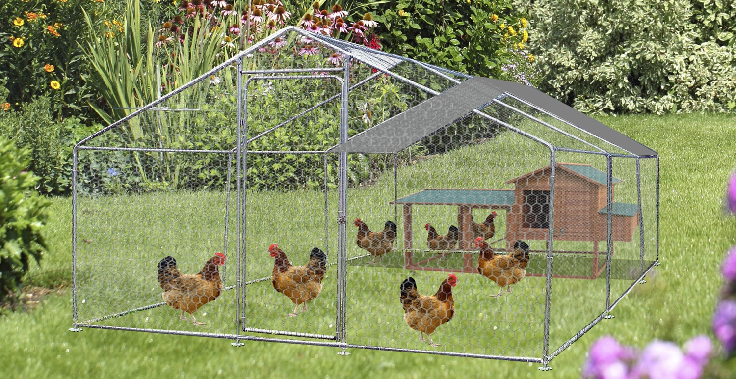 Pollaio con rete metallica per animali, acciaio.