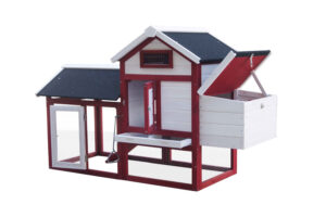 Pollaio bicolore 2 corpi, coperto, in legno.