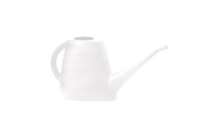 Annaffiaotio Wave 2 Lt.