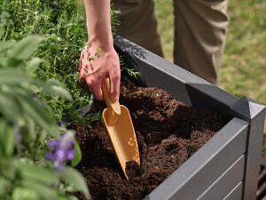 Trapiantatore Gaia piccolo