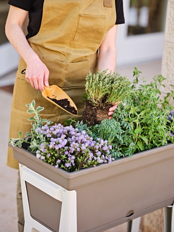 Trapiantatore Gaia grande