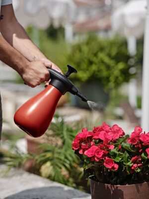 Vaporizzatore Nebula