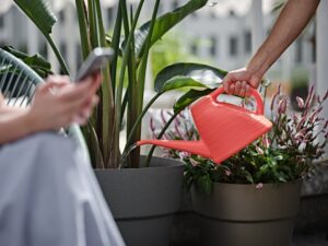 Annaffiaotio Wave 2 Lt.