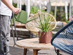 Annaffiaotio Wave 2 Lt.