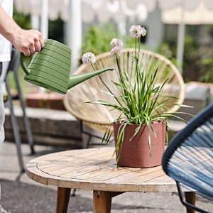 Annaffiaotio Wave 2 Lt.