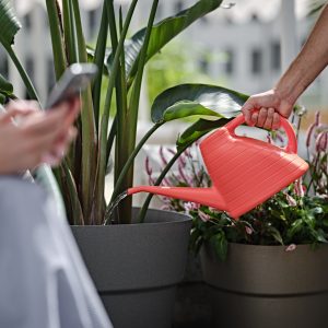 Annaffiaotio Wave 4 Lt.