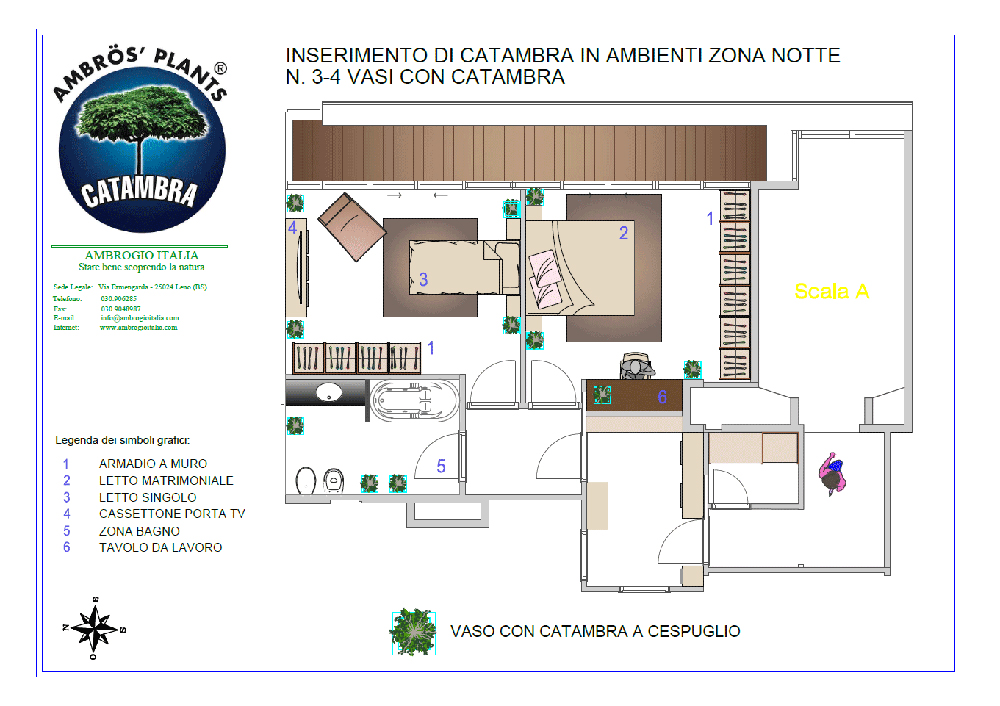 planimetria per la disposizione ottimale delle piante catambra in zona notte per una copertura antizanzare efficace