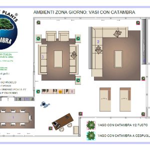 Pianta Catambra in Vaso diametro 10cm 1 anno