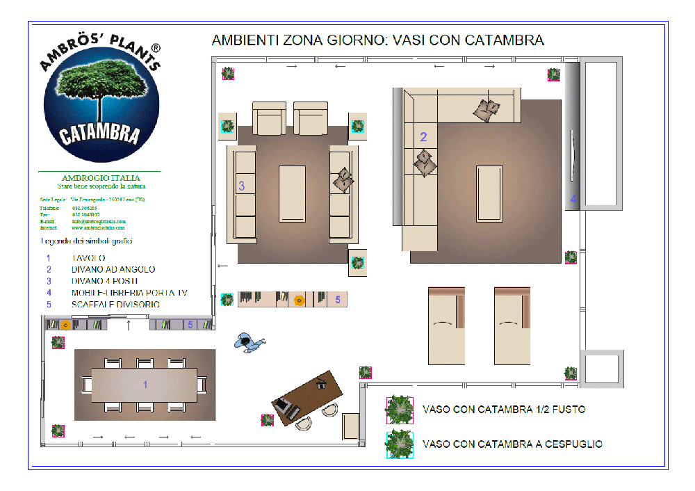 posizionamento delle piante catambra all’interno di un appartamento in zona giorno protezione naturale in ambienti abitativi