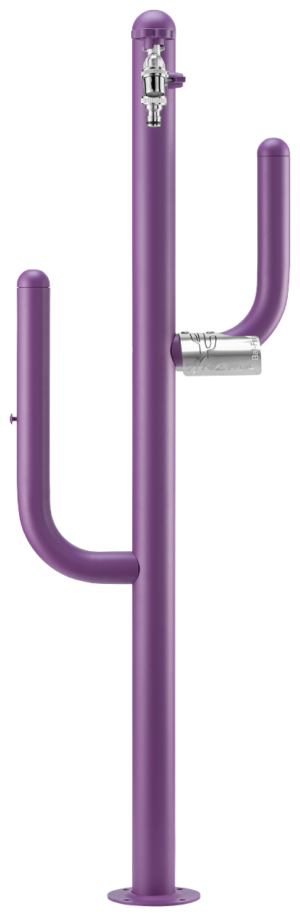 Fontana Arizona Belfer