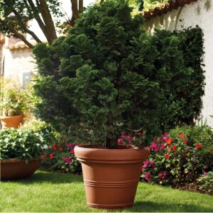 Garden Italia Vaso Campana Doppio Bordo Ø41 cm in Resina – Made in Italy, Resistente al Gelo e Antiurto