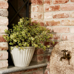 Garden Italia GERLA Vaso a Parete / Basket Centorighe 31×21 cm in Resina – Made in Italy, Leggero e Antiurto, 100% Riciclabile